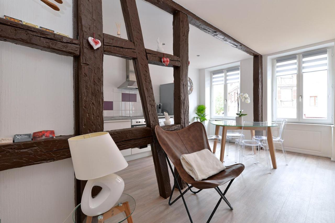 Petite Venise Gite Saint Pierre 2 Pieces 3 Etoiles Classement Tourisme Colmar Exterior photo